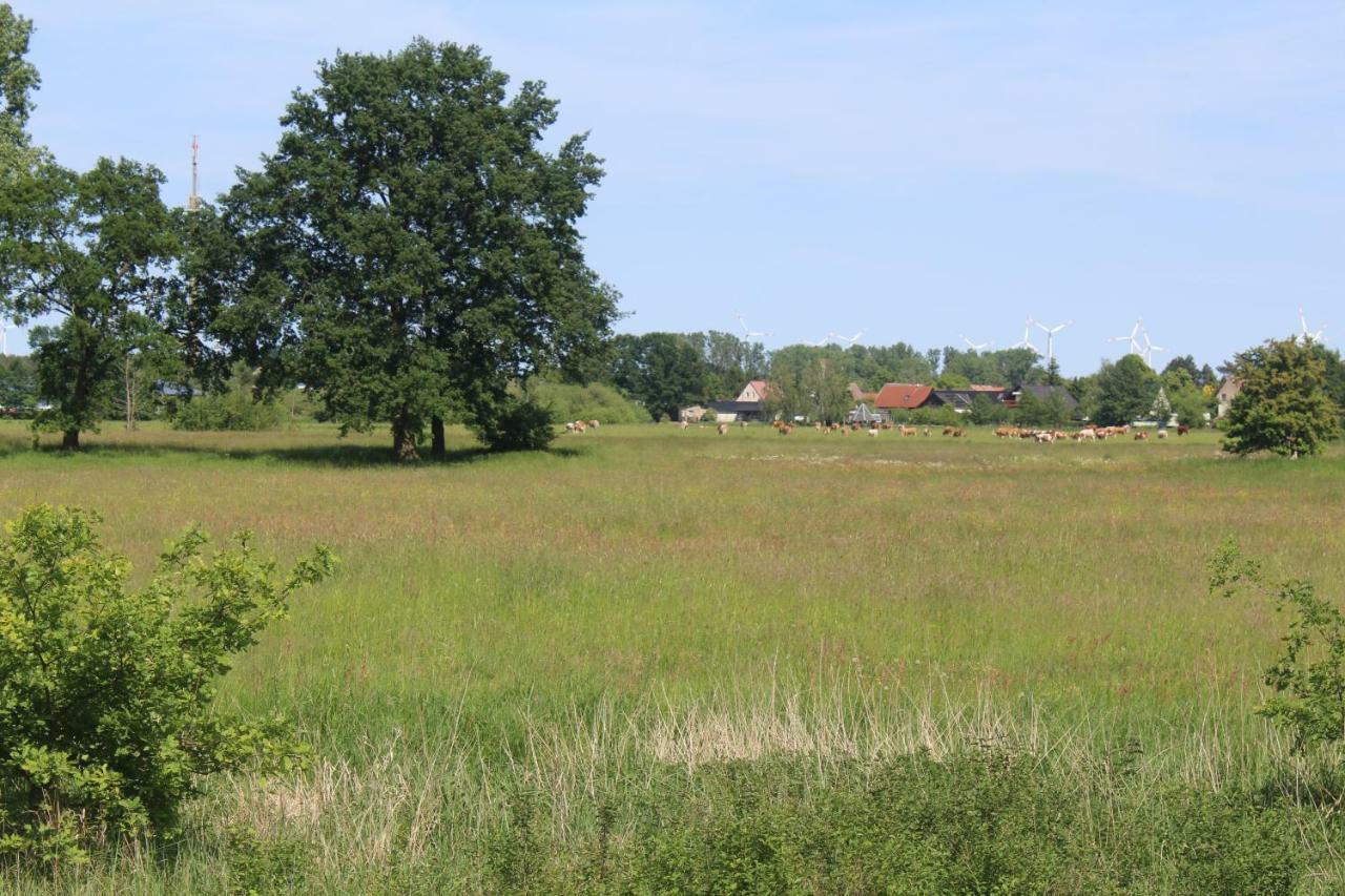 Holiday home Spreewald *